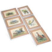 COLIN NEWMAN FSBA (BORN 1923) SIX WILDLIFE PICTURES