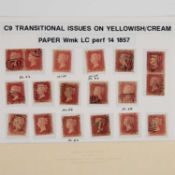 TRANSITIONAL ISSUES ON YELLOW/CREAM PAPER