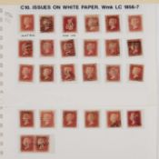 ISSUES ON WHITE PAPER