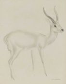 AFTER JOHN SKEAPING RA (1901-1980) ANTELOPE
