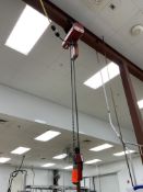 Dayton 1/2 Ton Electric Chain Hoist