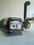 Nikuni Regenerative Turbine Pump with Toshiba Motor