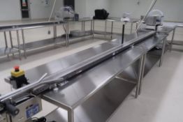 2018 Mini Mover 4in Wide 12ft Long Low Profile Conveyer