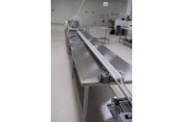 Mini Mover 12 Conveyor