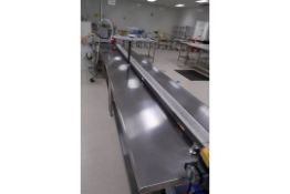 2017 Mini Mover 4in Wide 12ft Long Low Profile Conveyer