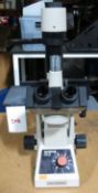 Olympus CK2 Inverted Microscope - Gilroy