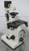 Nikon Diaphot Microscope, Phase Contrast-2 ELWD 0.3, Motorized XY Stage - Gilroy