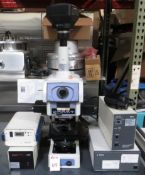 Nikon Eclipse E800 Microscope w/ Diagnostic Instruments RT Slider Camera - Gilroy