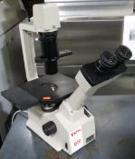 Nikon TMS Inverted Microscope - Gilroy