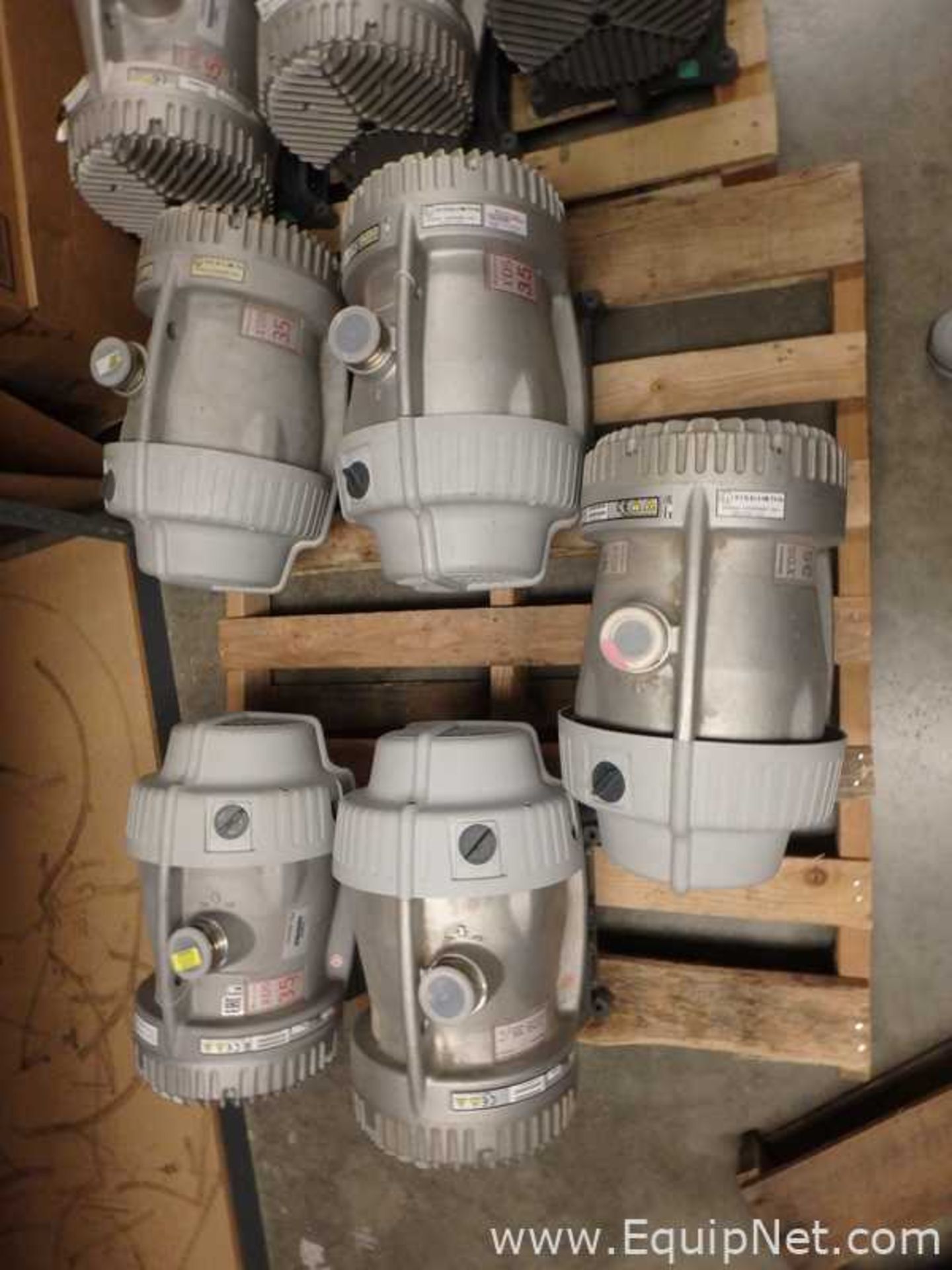 Lot of 11 Edwards XDS 35i Vacuum Pumps EX Rated - Image 8 of 8