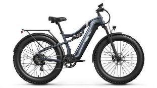 Puckipuppy Labrador e bike