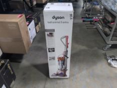 Dyson ball animal three