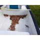 Gheenoe (12') with Shorelander Easy Loader Trailer - VIN# GHE844243212 - Image 6 of 21
