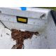 Gheenoe (12') with Shorelander Easy Loader Trailer - VIN# GHE844243212 - Image 7 of 21