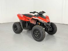 Skytron Cub 110 Quad - NO RESERVE