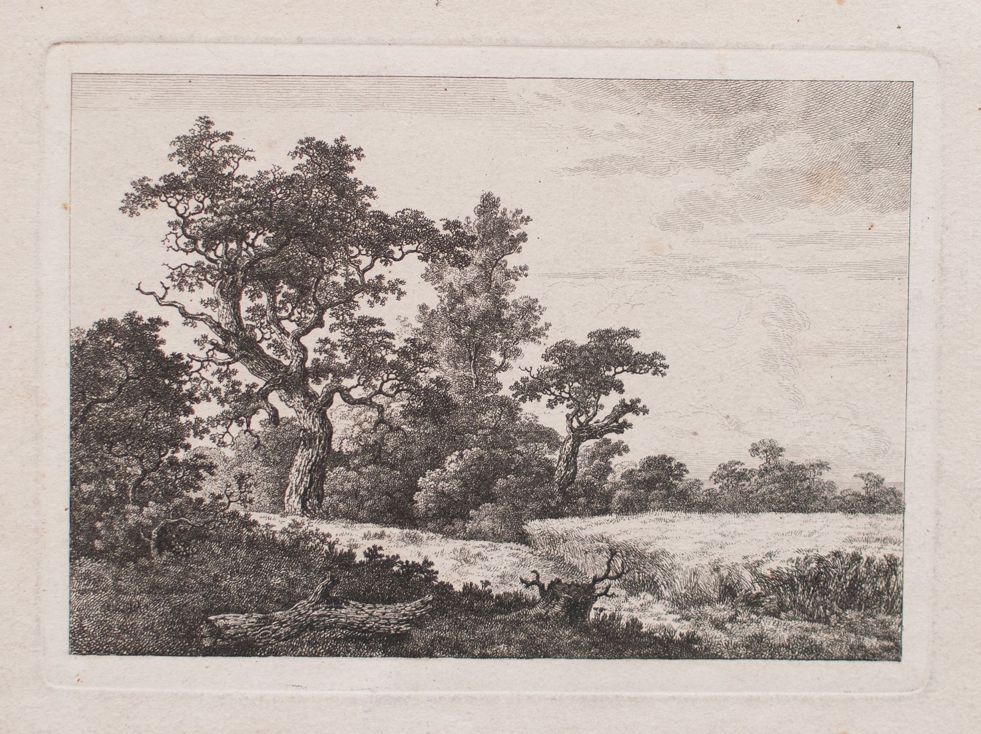 Nach Jacob van Ruisdael | Kornfeld | Radierung | 18. Jhd.
