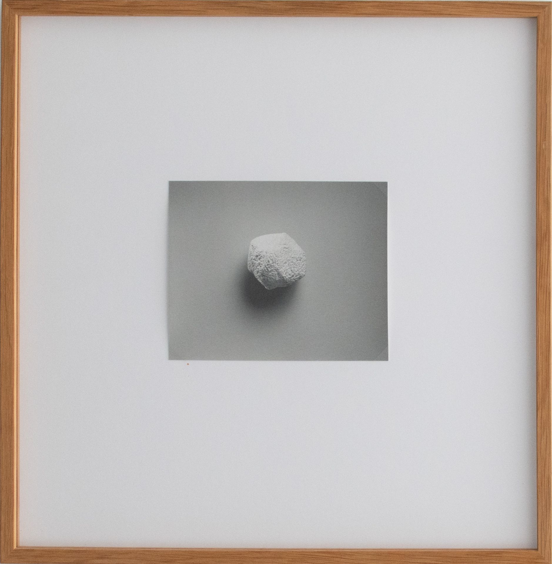 Till Krause | Elemente für eine künstlerische Natur | Fotografie | 1997