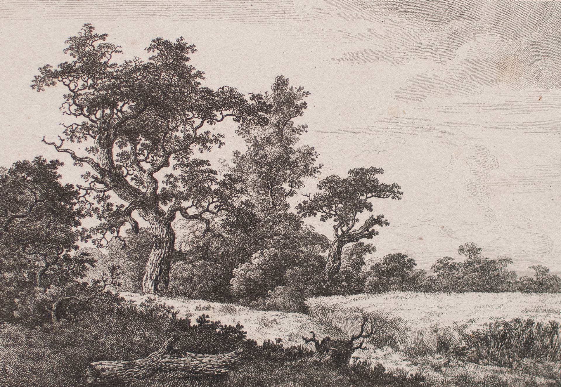 Nach Jacob van Ruisdael | Kornfeld | Radierung | 18. Jhd. - Bild 2 aus 3