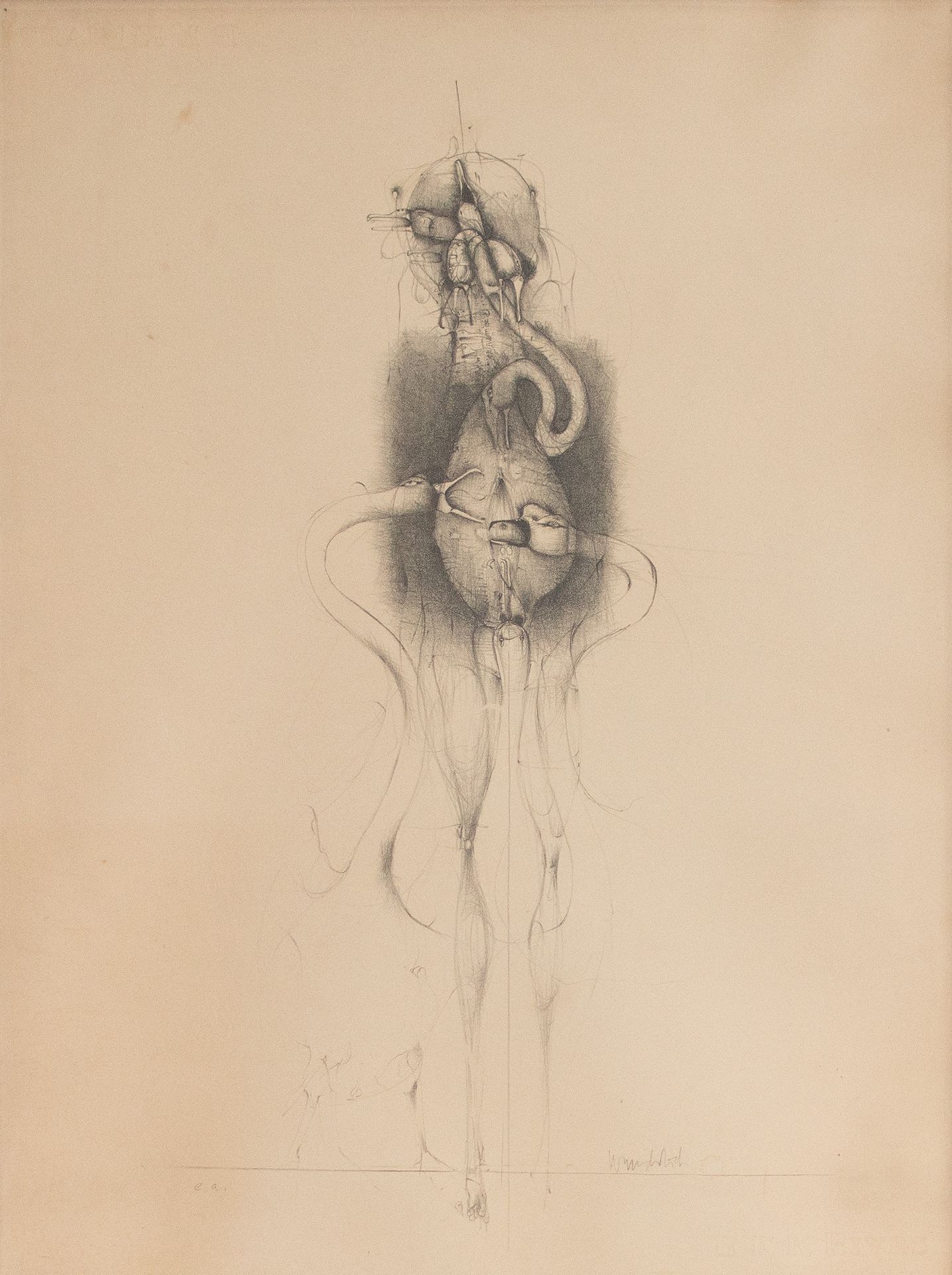 Paul Wunderlich | Leda | Lithographie | 1962 - Bild 2 aus 3