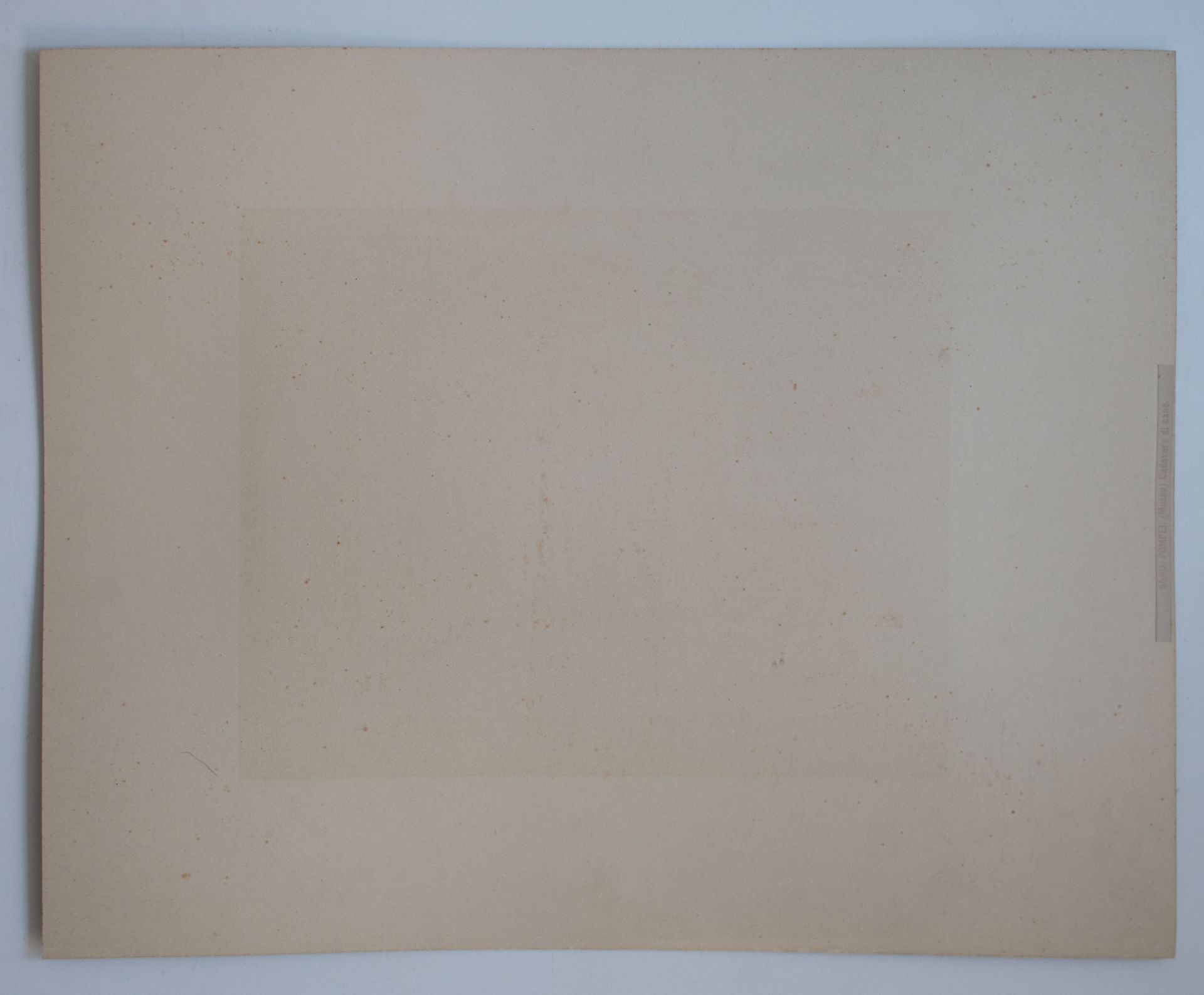 Giorgio Sommer, Giacomo Brogi u.a. | Neapel | Fotografie | 2. Hälfte 19. Jhd. - Bild 10 aus 12