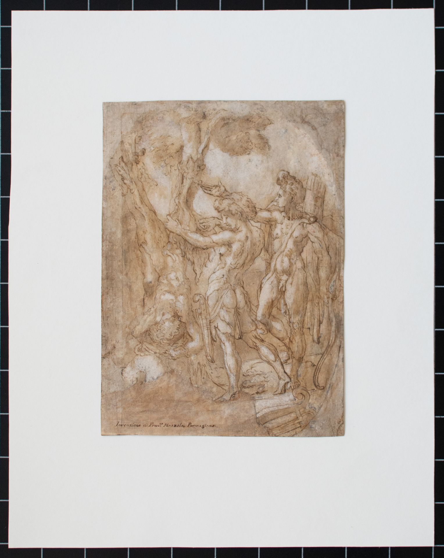 nach Francesco Mazzola (Parmigianino) | Häutung des Marsyas | Feder u. Tusche| Erste Hälfte 16. Jhd. - Bild 3 aus 3