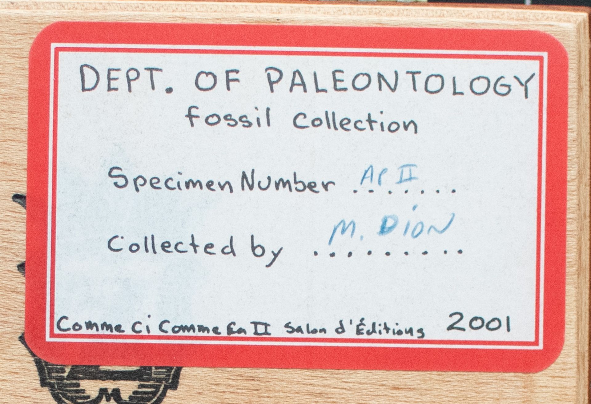 Mark Dion | Dept. Of Paleontology | Mixed media | 2001 - Bild 4 aus 4