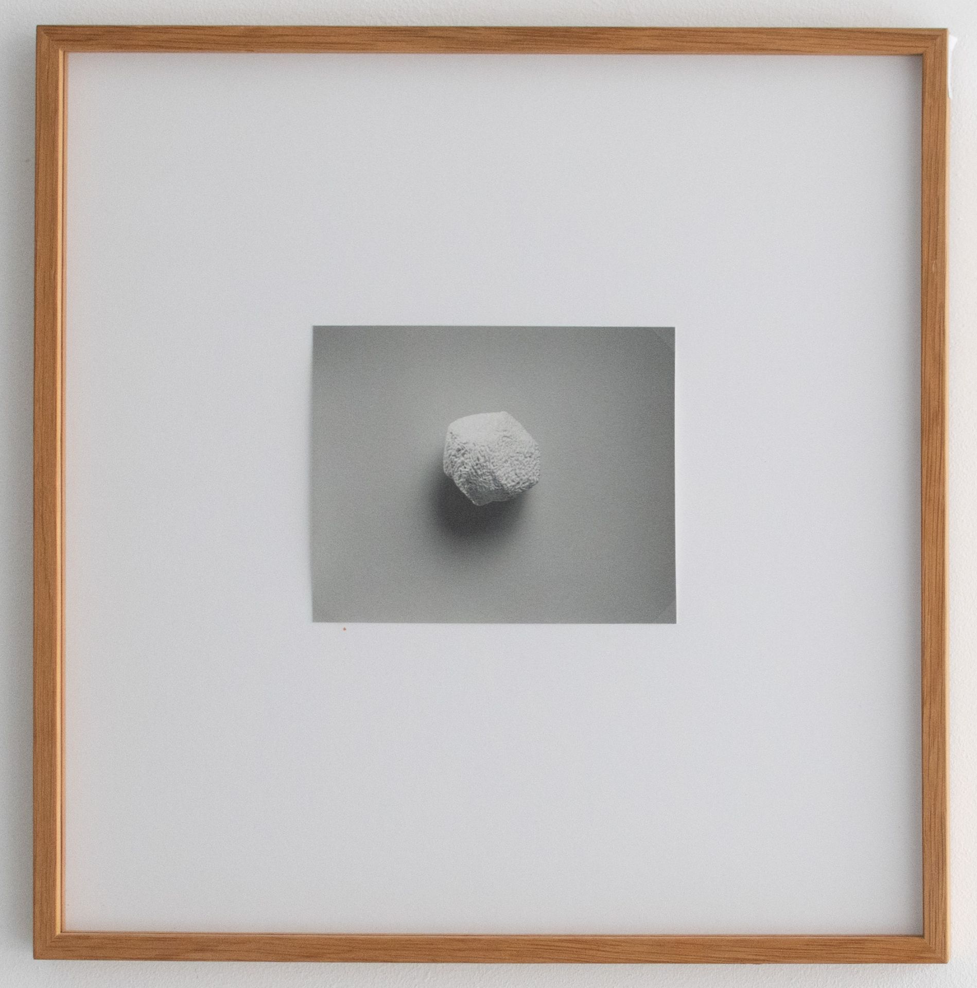 Till Krause | Elemente für eine künstlerische Natur | Fotografie | 1997 - Bild 4 aus 5