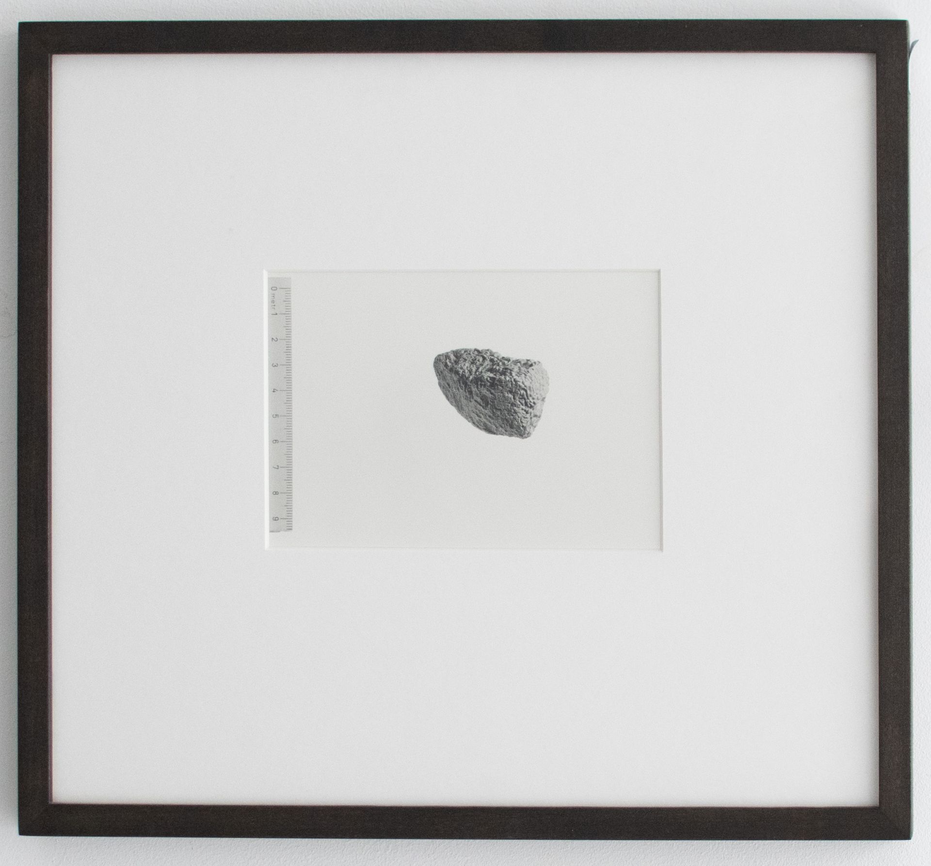 Till Krause | Elemente für eine künstlerische Natur | Fotografie | 1997 - Bild 5 aus 5