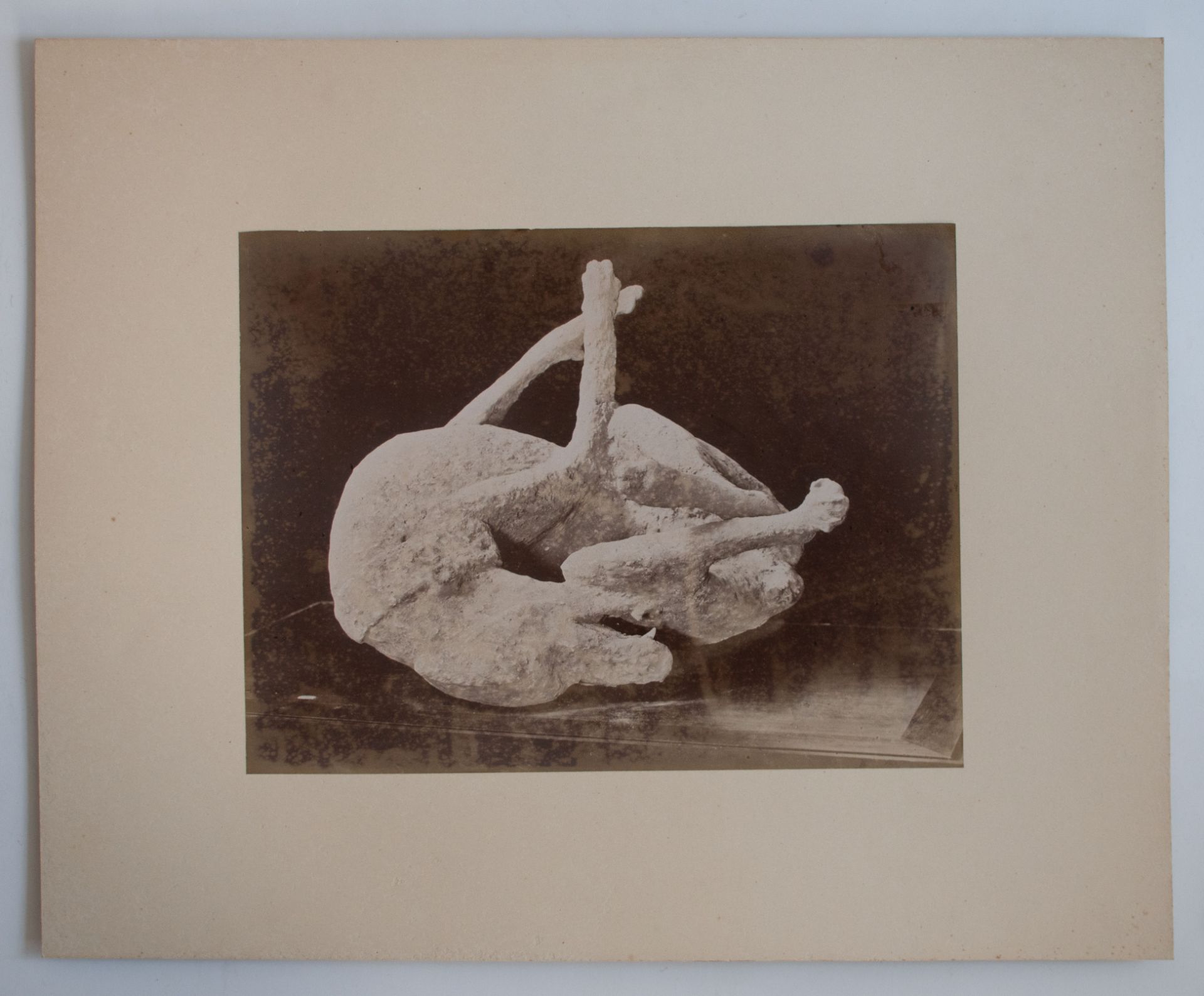 Giorgio Sommer, Giacomo Brogi u.a. | Neapel | Fotografie | 2. Hälfte 19. Jhd. - Bild 9 aus 12