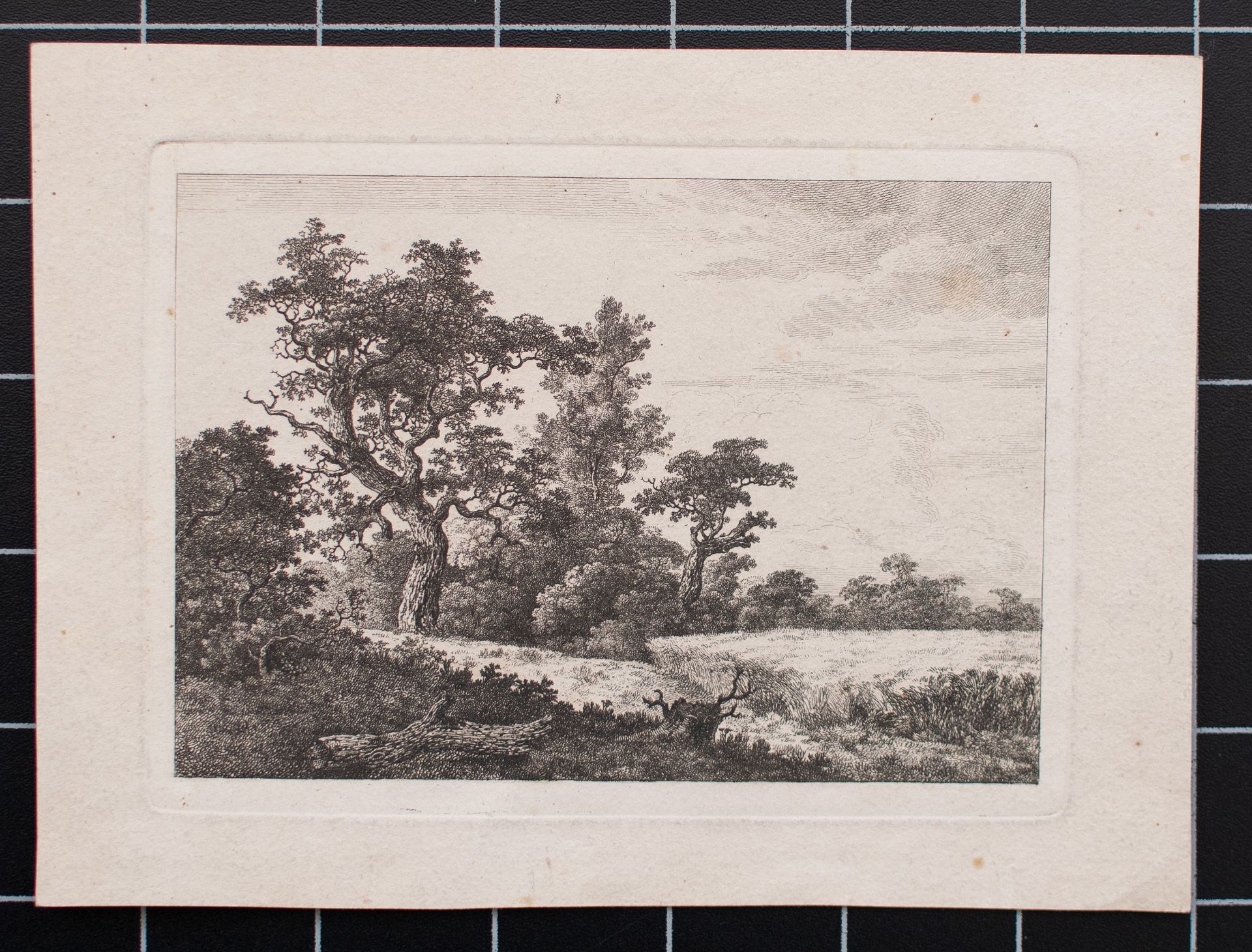 Nach Jacob van Ruisdael | Kornfeld | Radierung | 18. Jhd. - Bild 3 aus 3