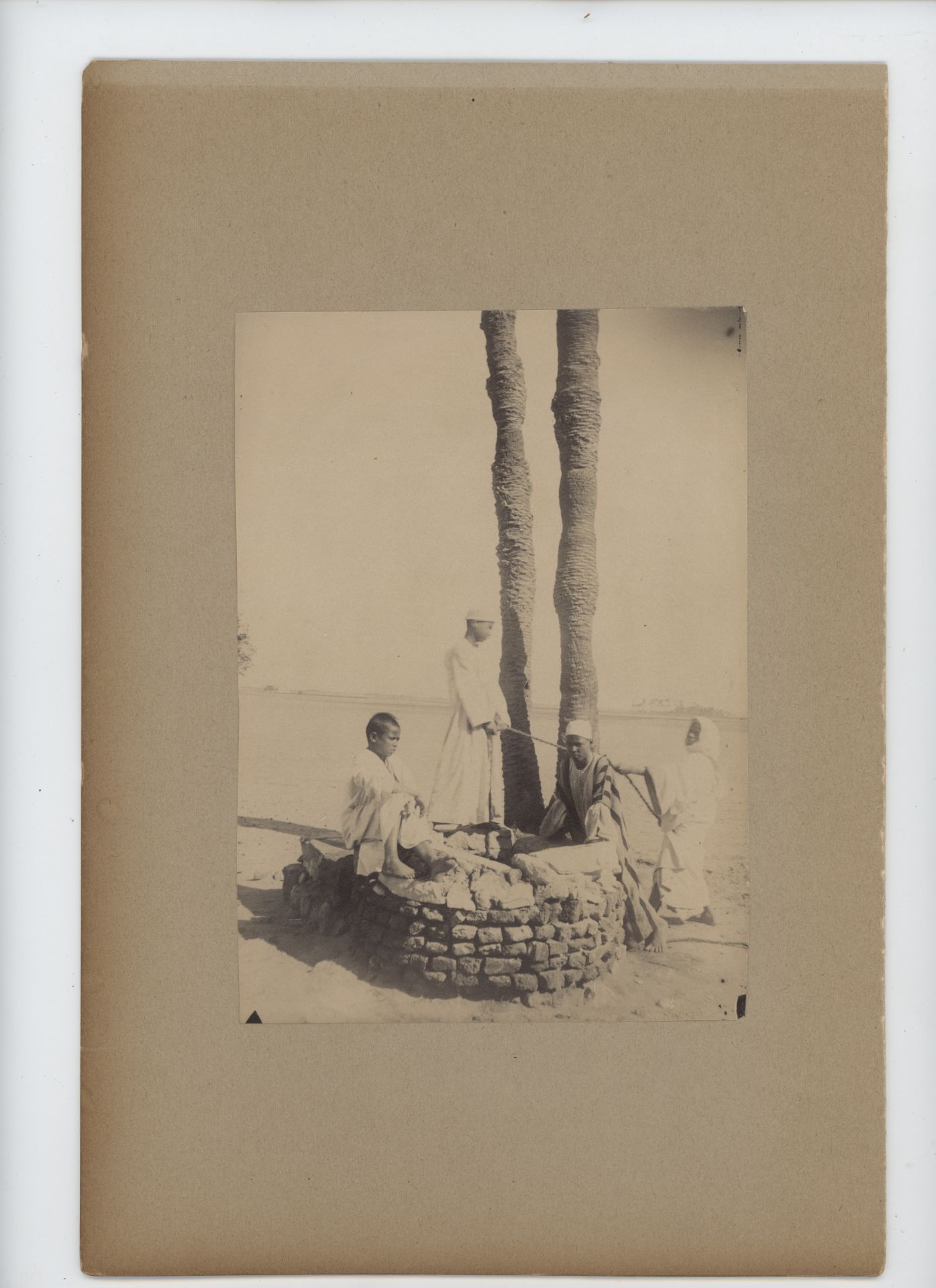 Wilhelm Plüschow | Ägypten | Fotografie | Um 1896/1897 - Bild 8 aus 8