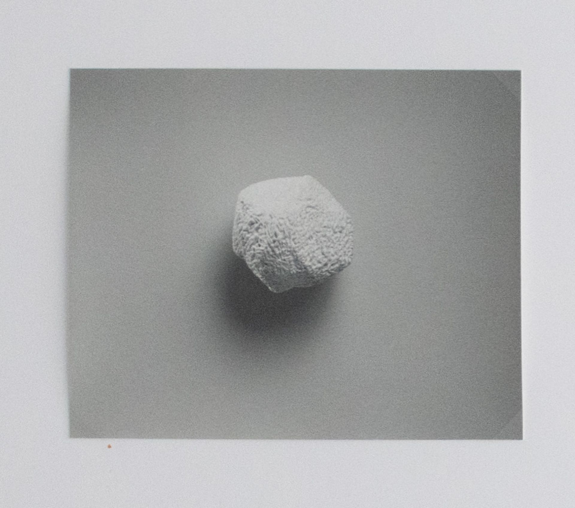Till Krause | Elemente für eine künstlerische Natur | Fotografie | 1997 - Bild 2 aus 5
