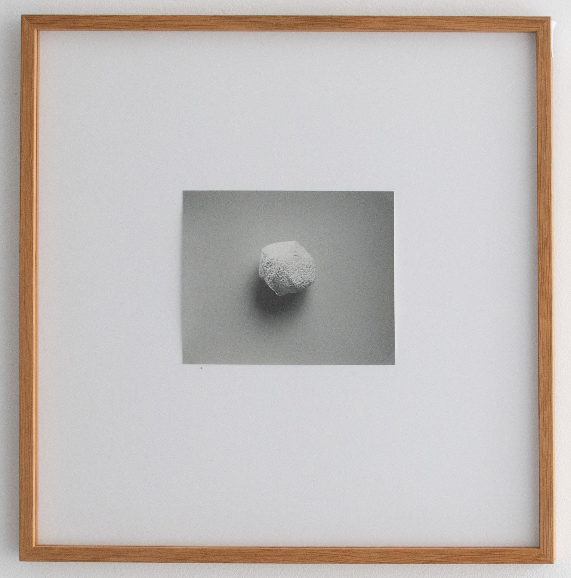 Till Krause | Elemente für eine künstlerische Natur | Fotografie | 1997 - Bild 3 aus 5