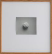 Till Krause | Elemente für eine künstlerische Natur | Fotografie | 1997