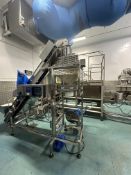 INCLINE CONVEYOR WITH WEIGHER AND SAFELINE METAL DETECTOR.