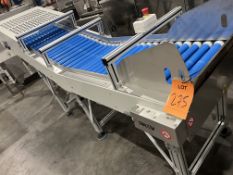 REV SORTING ROLLER CONVEYOR/ELEVATOR.