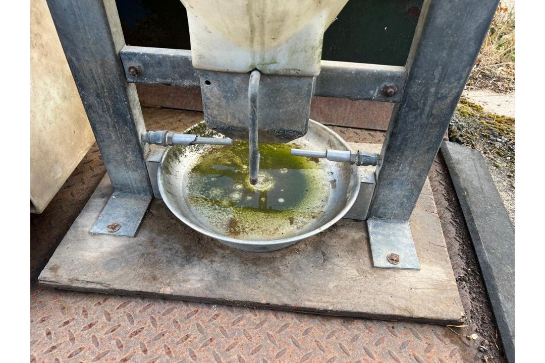 Pig water feeder - Image 2 of 3