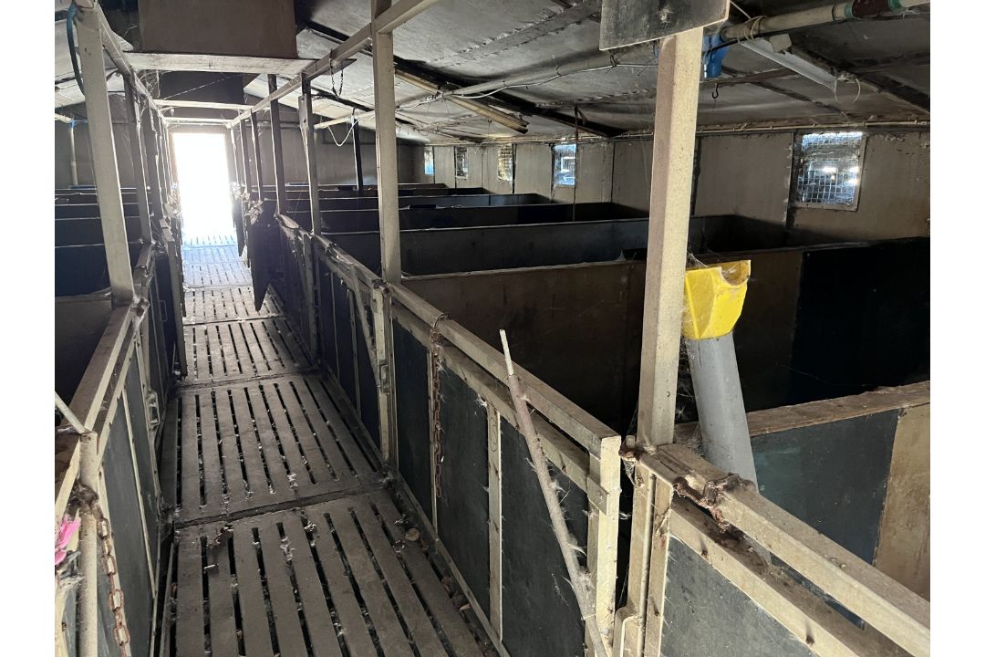 8 of 6' x 3' pig gates - Image 2 of 2