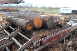 Mellott 15' 3 Strand Log Infeed Deck