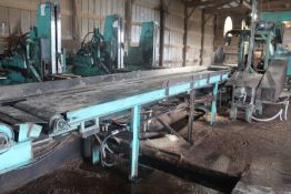 17' Belt Conveyor