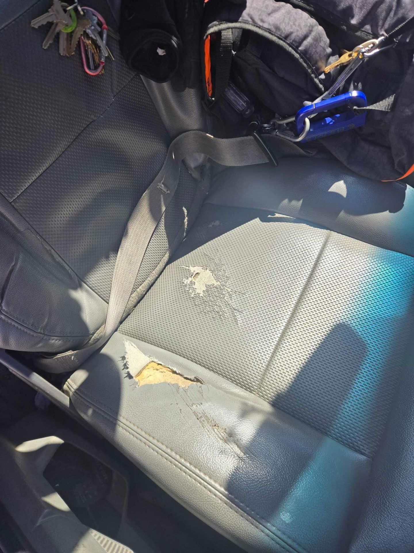 (2005 ) Ford F150 XL Pickup - Image 8 of 9