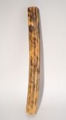 Zeremonieller "Regenmacher"/ "Regenstab" | Aborigines, Australien