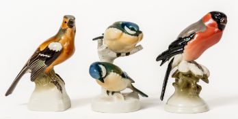 BUCHFINK, BLAUMEISEN-PAAR UND GIMPEL