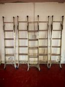 (5) Werner aluminium ladders