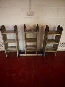 (3) Folding 4x3D aluminium ladders