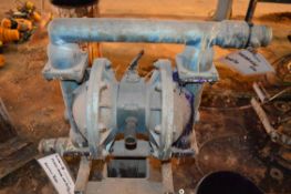 (2) Blagdon Pump Air Pumps