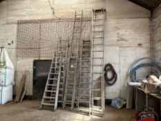 (9) Various Industrial Ladders