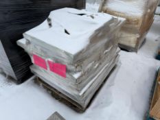 Pallet of (20) Assorted Fire Protec Cabinets