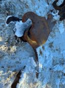 Craig Ripper Tooth Attachment