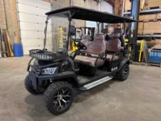 New SDLANCH SDLGC100 6-Seat Electric Golf Cart - 4000W AC Electric Motor, 60V100AH Battery